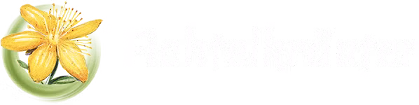 Fichtelkräuter