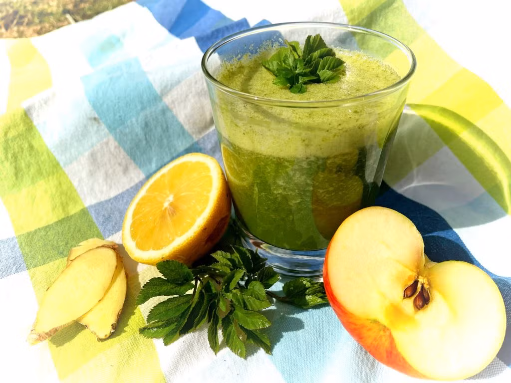 Frühjahrskur mit Kräutersmoothie