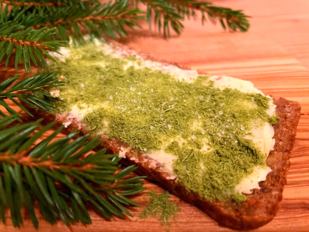 Vollkornbrot mit Butter und pulverisierten Fichten Nadeln