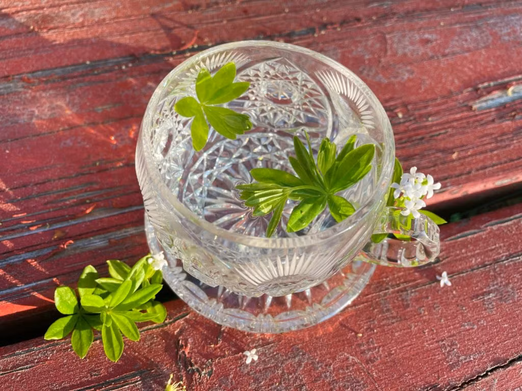 Tee mit frischem Waldmeister
