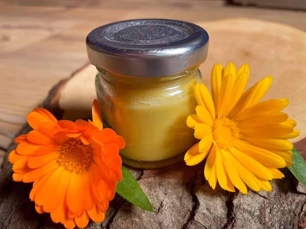 fertige Salbe aus Ringelblumen